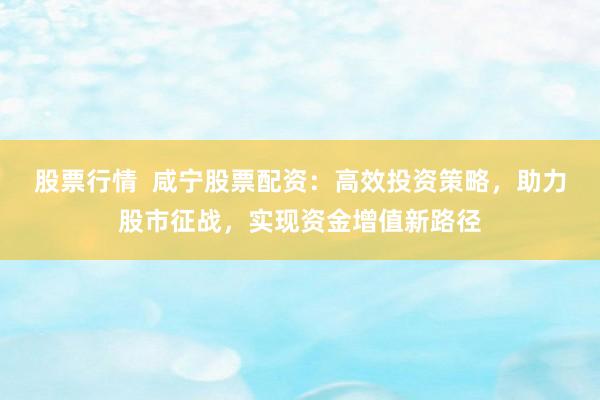 股票行情  咸寧股票配資：高效投資策略，助力股市征戰(zhàn)，實現(xiàn)資金增值新路徑