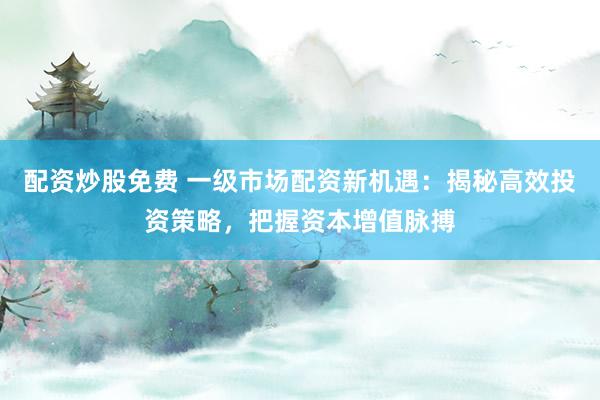 配資炒股免費(fèi) 一級(jí)市場(chǎng)配資新機(jī)遇：揭秘高效投資策略，把握資本增值脈搏