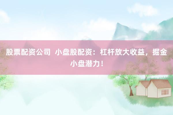 股票配資公司  小盤股配資：杠桿放大收益，掘金小盤潛力！