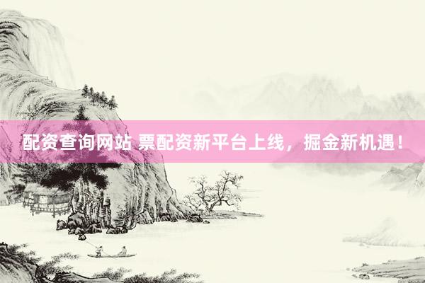 配資查詢(xún)網(wǎng)站 票配資新平臺(tái)上線，掘金新機(jī)遇！