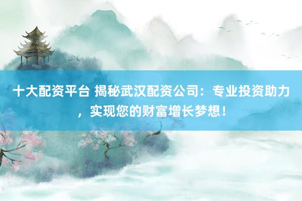十大配資平臺(tái) 揭秘武漢配資公司：專業(yè)投資助力，實(shí)現(xiàn)您的財(cái)富增長(zhǎng)夢(mèng)想！