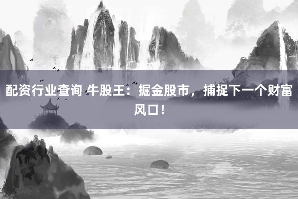 配資行業(yè)查詢 牛股王：掘金股市，捕捉下一個財富風口！
