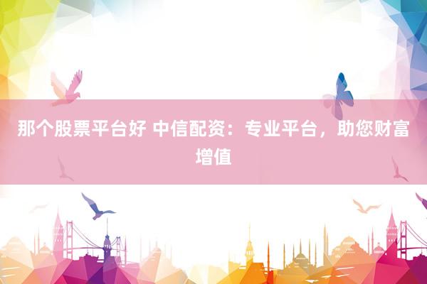 那個(gè)股票平臺(tái)好 中信配資：專業(yè)平臺(tái)，助您財(cái)富增值