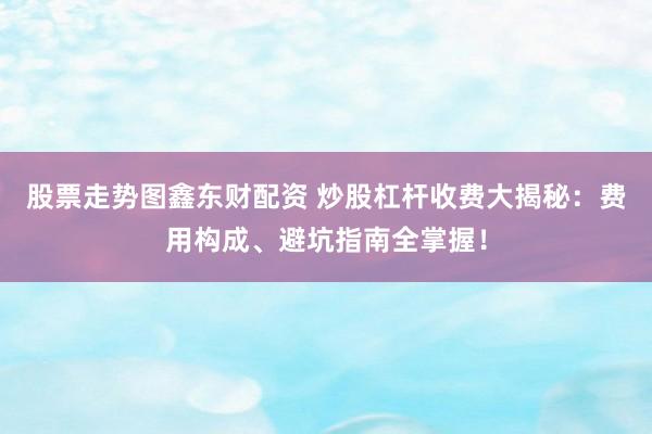 股票走勢(shì)圖鑫東財(cái)配資 炒股杠桿收費(fèi)大揭秘：費(fèi)用構(gòu)成、避坑指南全掌握！