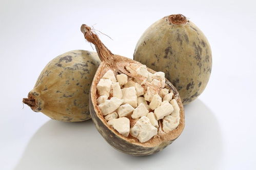 猴面包樹(shù)油 非洲生命之樹(shù),絕佳的非洲護(hù)膚植物油